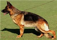 Rebecca vom Altenberger Land