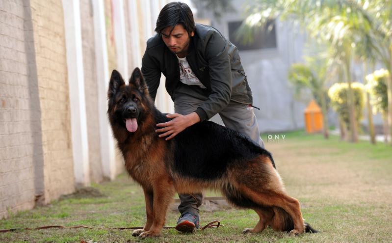 Chelsa Z Serca Makawo (FCI) 