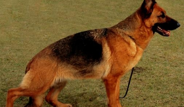 Evita van de Zomerdijkslanden