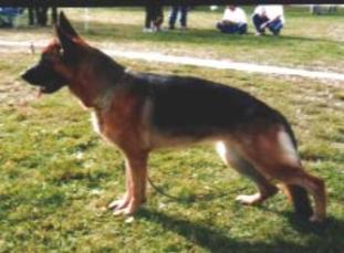 Unsa vom Fichtenschlag