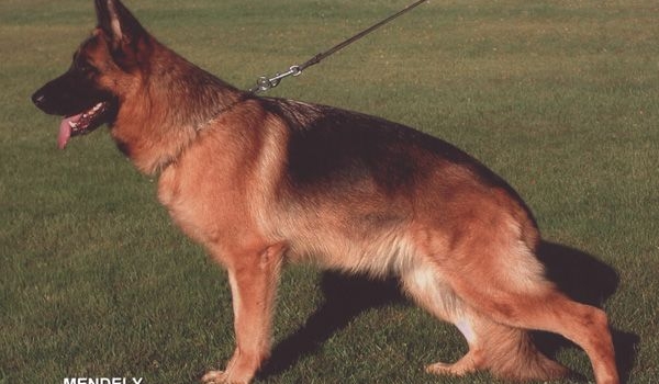 Aike zum Gigelsfelsen