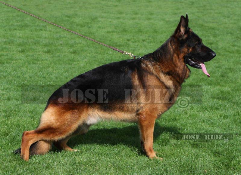 Finn vom Bergmannsland