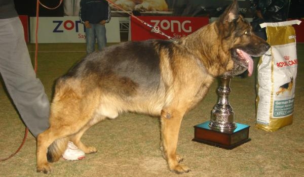 Mike von der Biberfalle