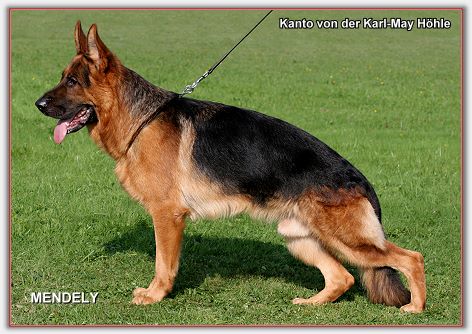 Kanto von der Karl-May Hohle