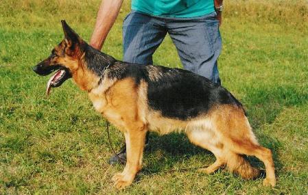 Aische vom Kirschental