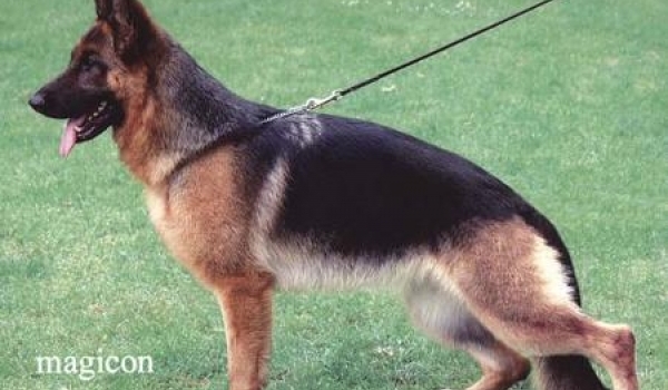 Raica vom Holtkämper See