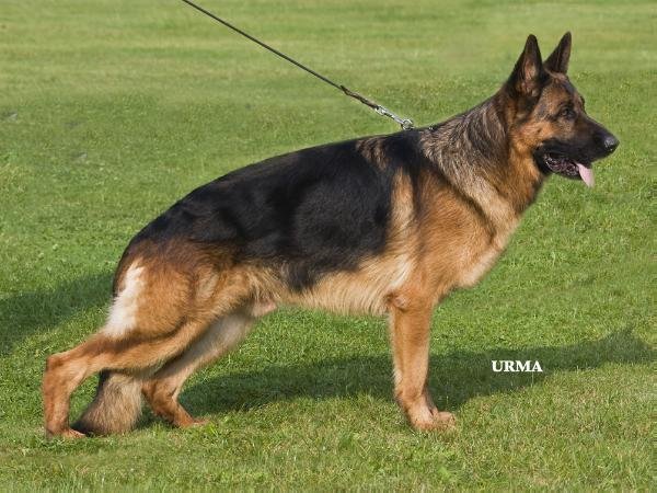 ARAK de la Ferme Malgre L'eau