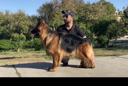 Nancy vom Kashmir Hills