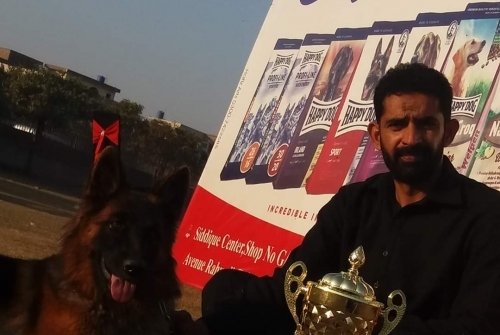 Dandy vom Royal Kings