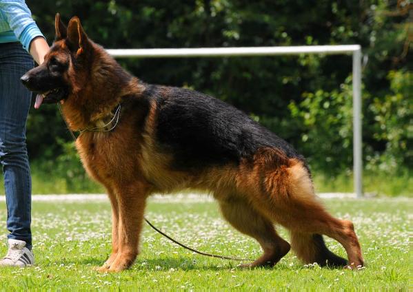 Gent vom Team Fiemereck