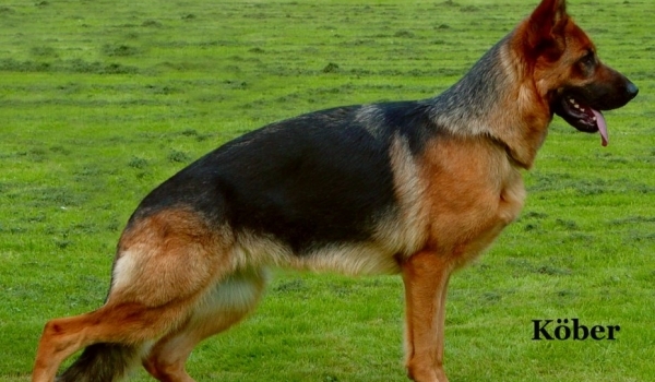 Piera aus Wattenscheid