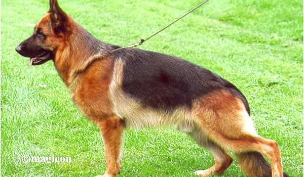 Naxos vom Holtkämper See