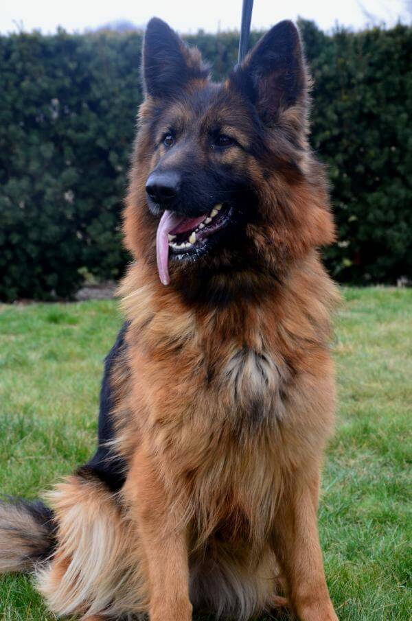 Taska Mavic Poland (2009)