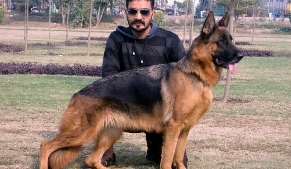 Amiga vom Stirpiculture