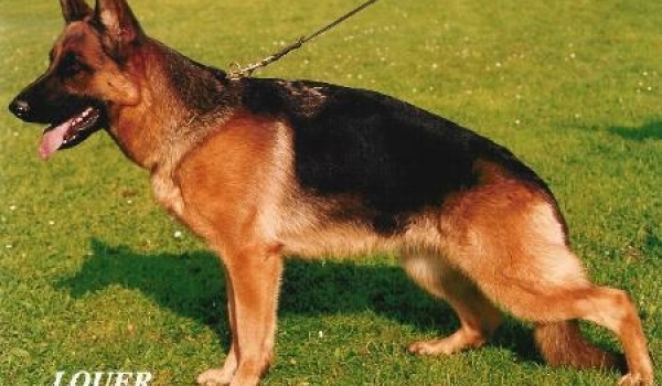 Pia von der Zenteiche