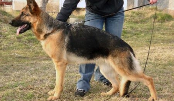 Chereshnya Zilber Wasserfall