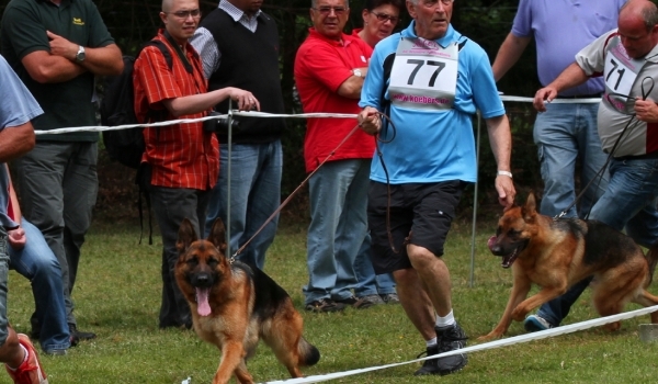 Idah aus Wattenscheid