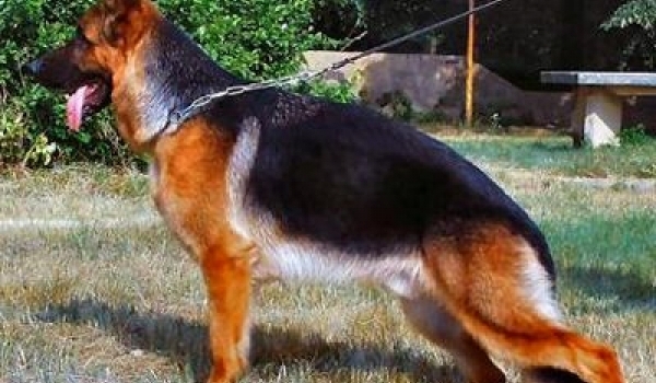 Unix vom Kapellenberg