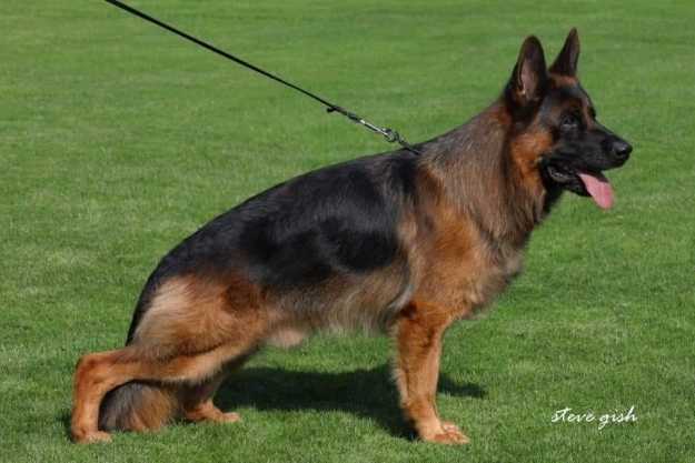 Spencer di Casa Massarelli 