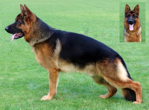 Mentos vom Osterberger-Land