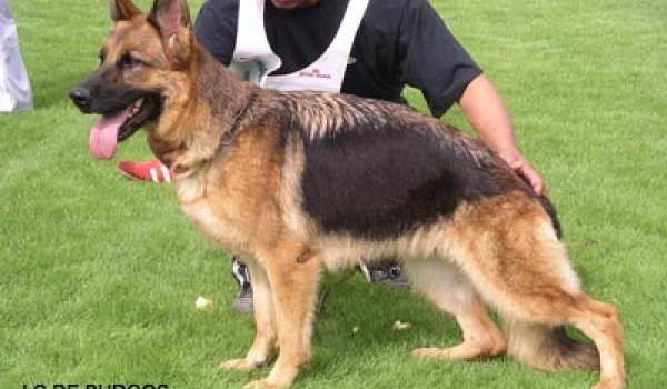 Rangoon du Haut Mansard