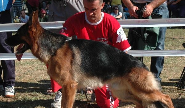 Yoll von Panoniansee