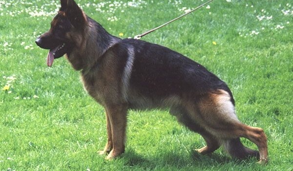 Kliff vom Trollbachtal