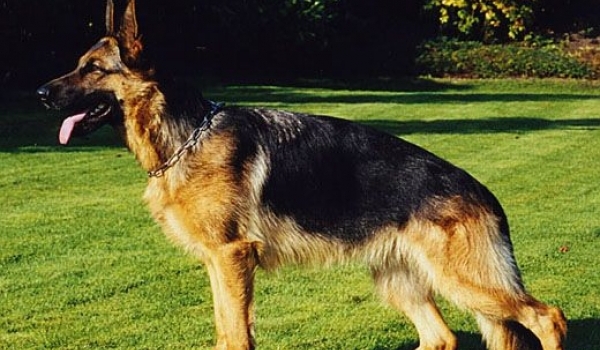 Wari vom Holtkämper See