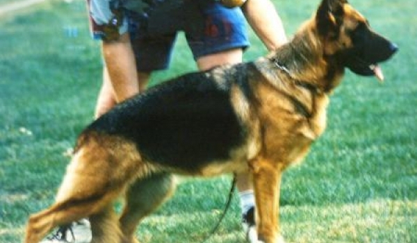 Petra vom Tamaraspitze