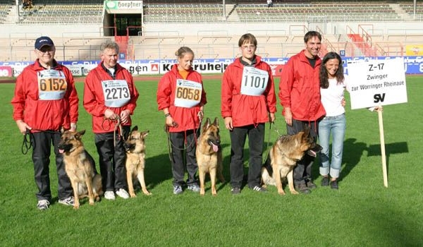 Eisenherz zur Worringer Rheinaue