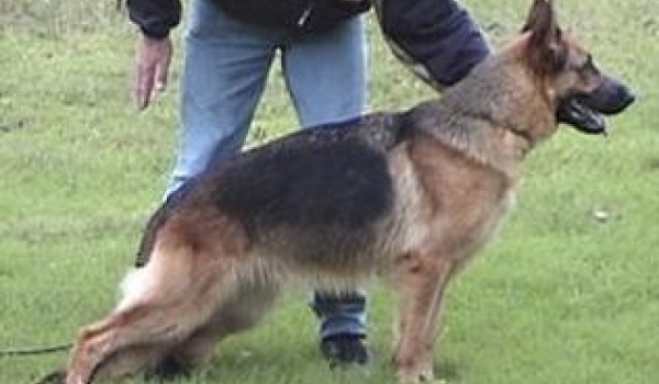 Ora vom Müdesheimerland