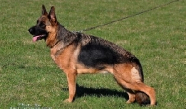 Carmen von der Familien Schäfer