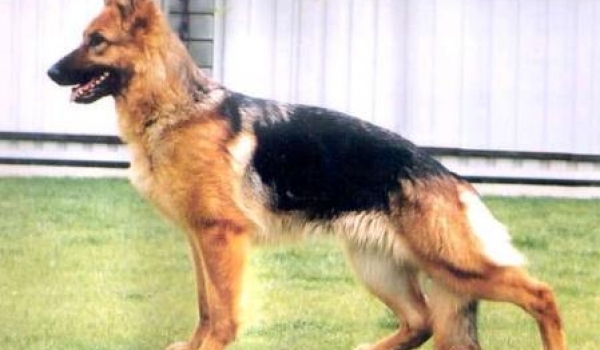 Conni von der Urbecke