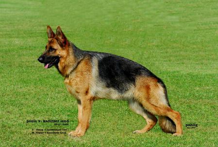 Paula vom Kaditzer Land