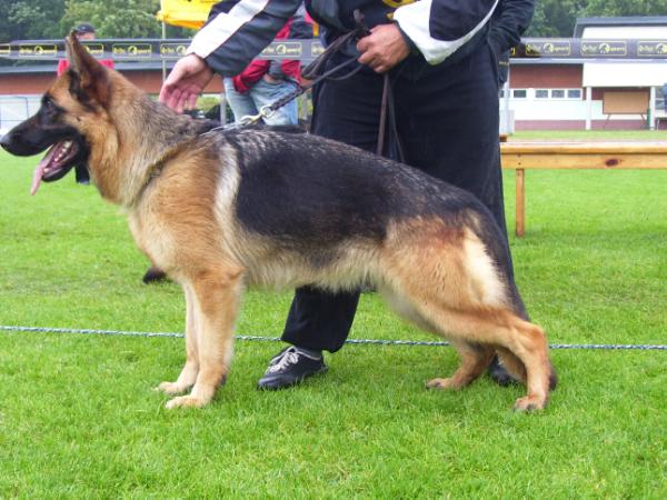 EMI z Wiecborskiej Doliny