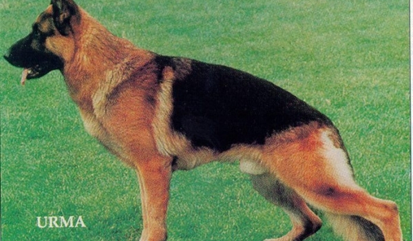 Largo vom Breidenbacher-SchloB