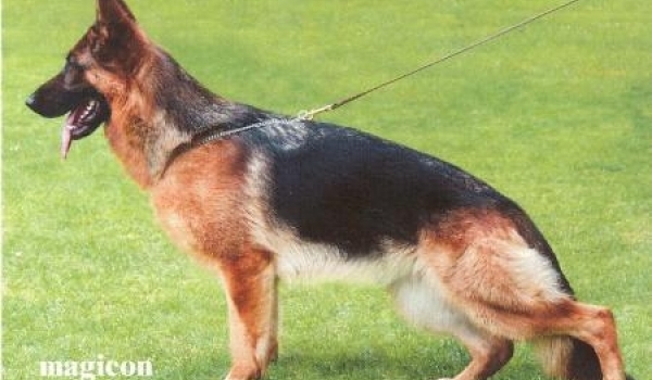 Roma vom Holtkämper See