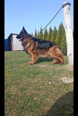 Elsa vom Team Gujranwala