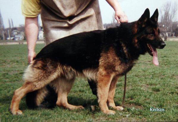 Karus vom haus barkhoff