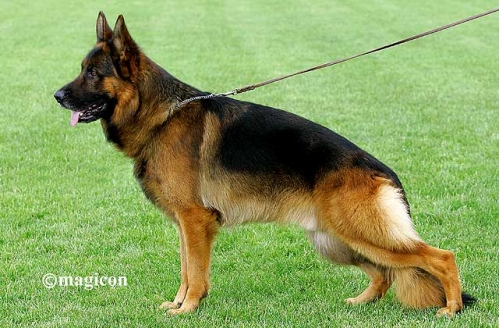 Andrjuscha van Noort