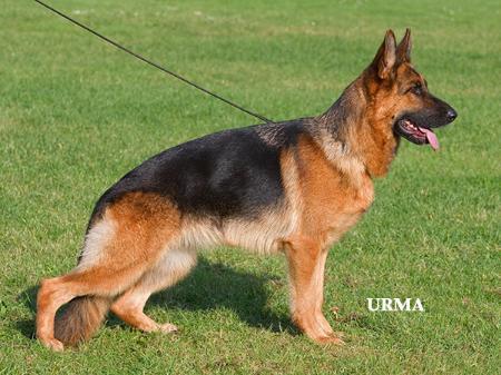 Gina von der Karl-May Hohle