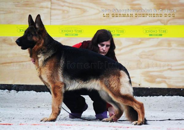 Wentyl Nova Langfuhr