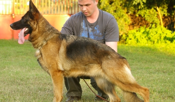 Page vom Butjenter Land