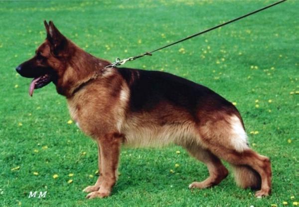 Pascha von der Jahnhöhe