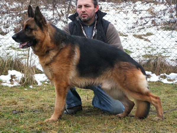 Caruso vom Karlsfelder Hof