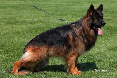 Ian vom Kleinen Zauberberg